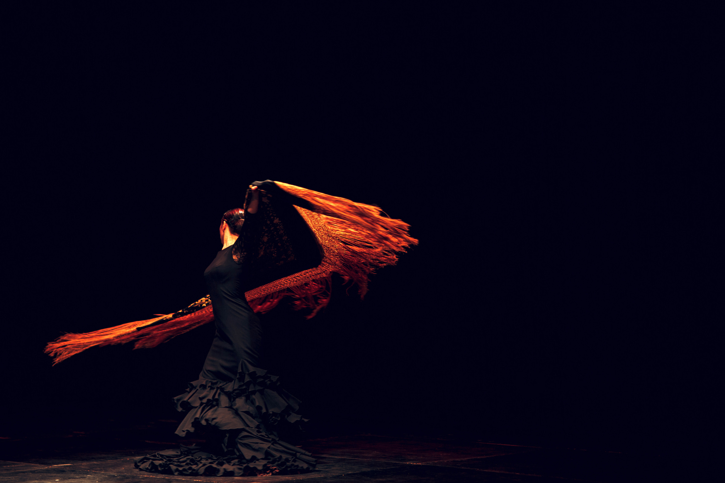Flamenco dancer in traditional costume. Flamenco spanish dance on stage.