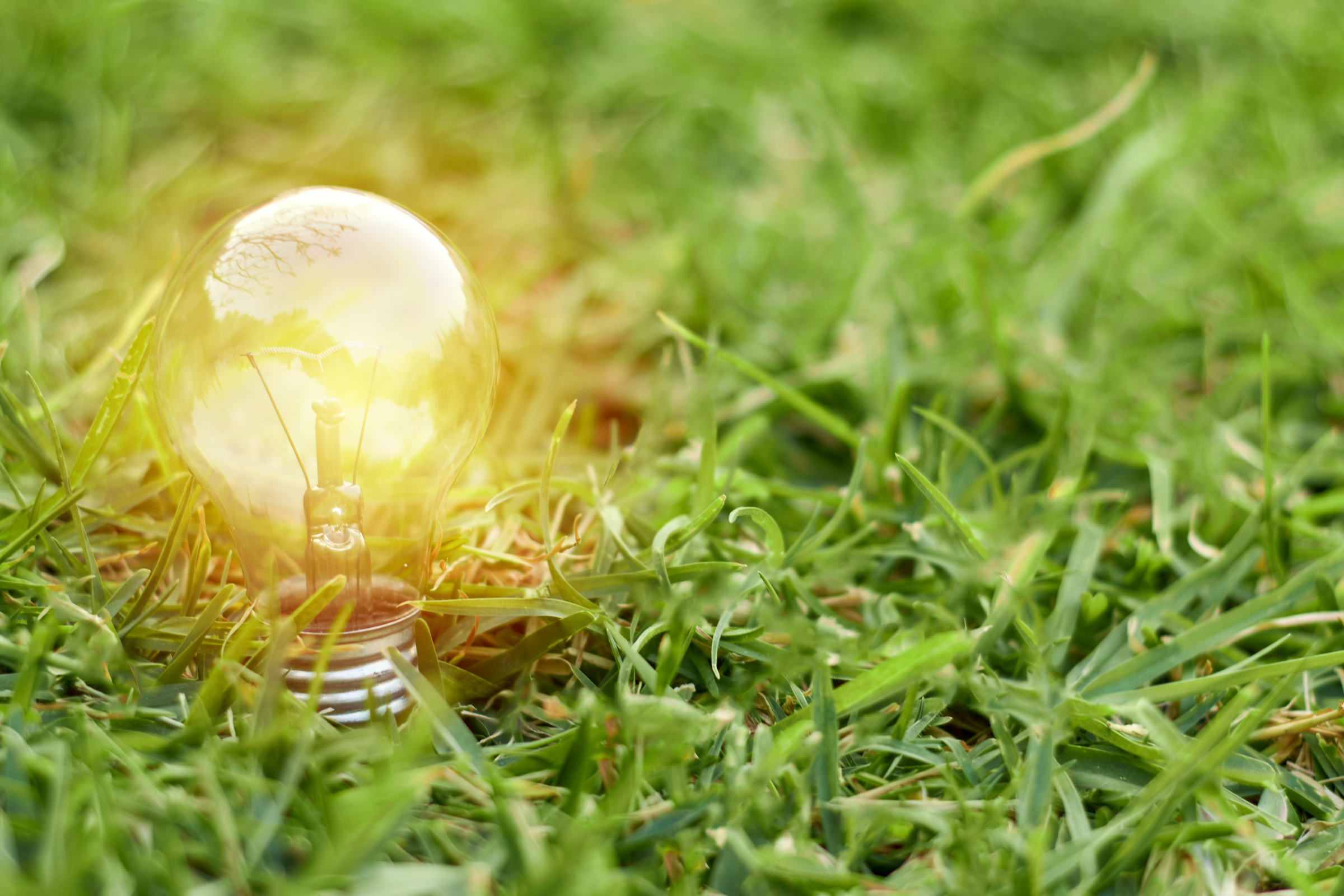 Green Energy Innovation Light Bulb on Grass